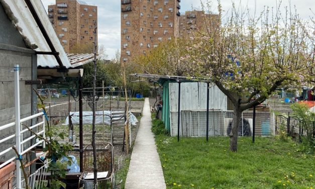 Jardins d’aubervilliers, la lutte continue